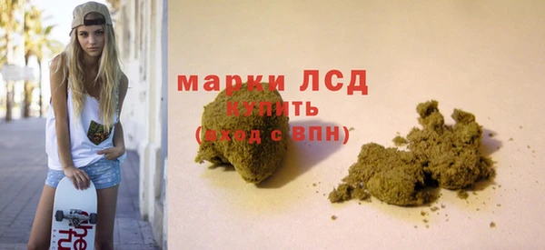 сатива Аркадак