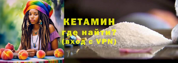 сатива Аркадак