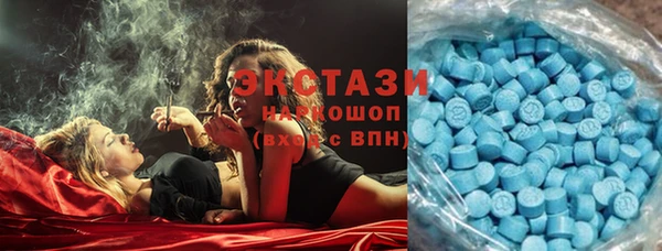 сатива Аркадак