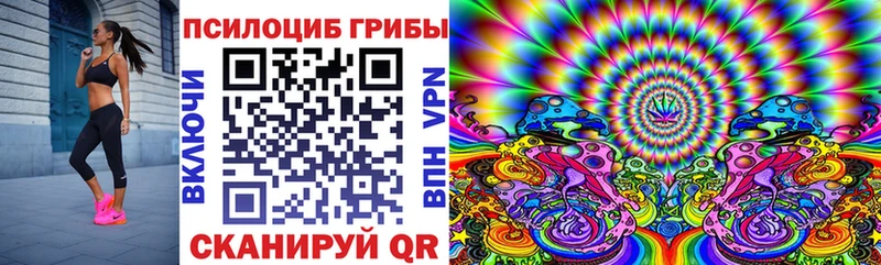 Псилоцибиновые грибы Cubensis  Купить закладки  Верхняя Пышма 