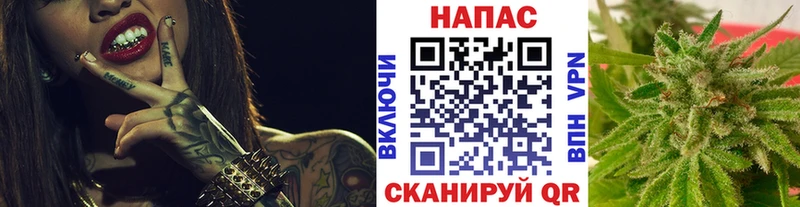 Купить закладки  Верхняя Пышма  Конопля Ganja 